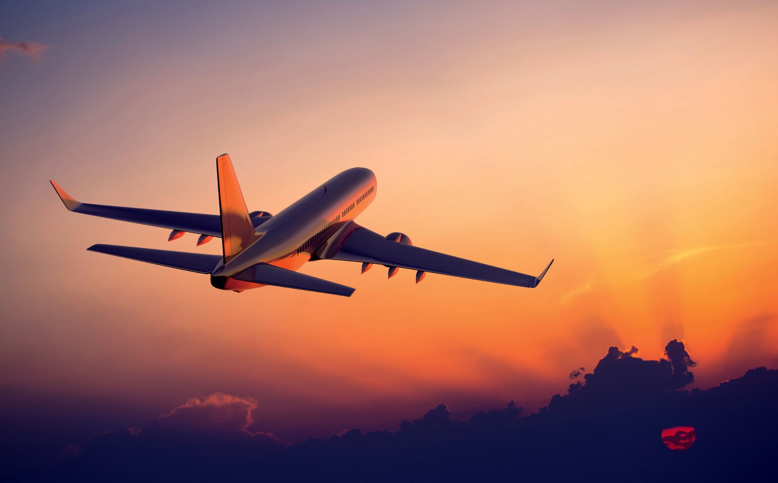 Shuja Travels