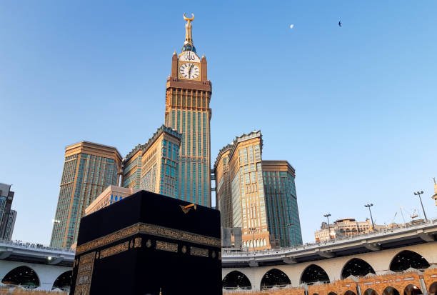 Shuja Travels